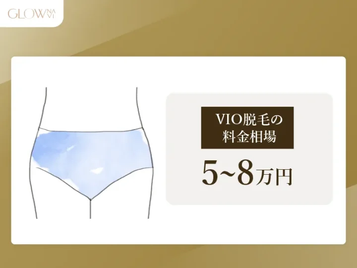 H3_-VIO脱毛