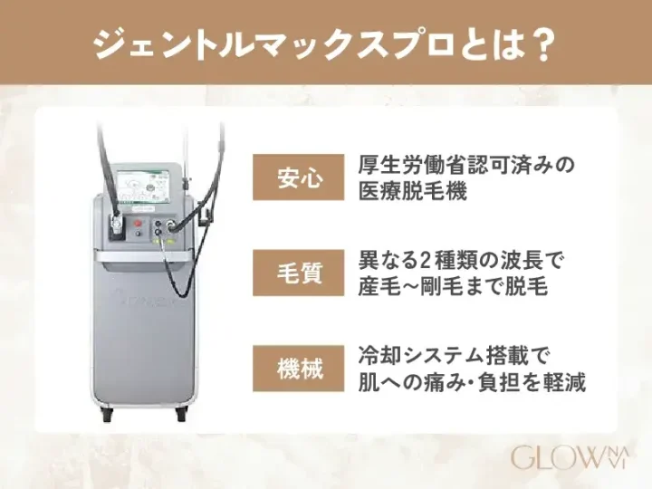 ジェントルマックスプロとは