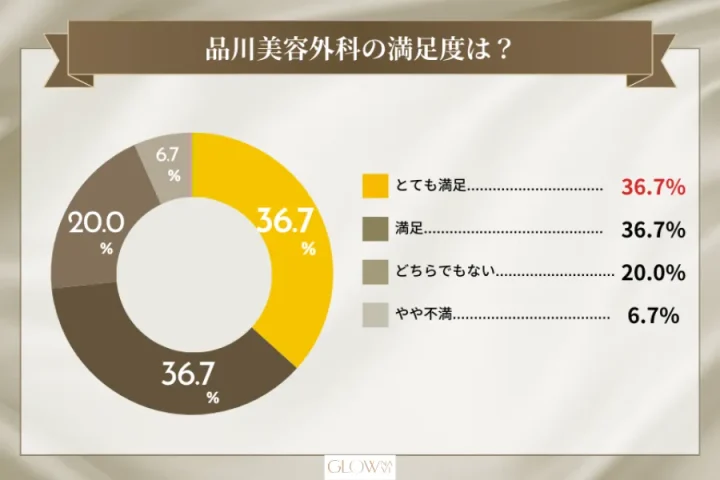 品川美容外科の満足度を表した円グラフ