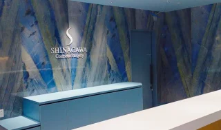 品川美容外科(町田院)のイメージ1