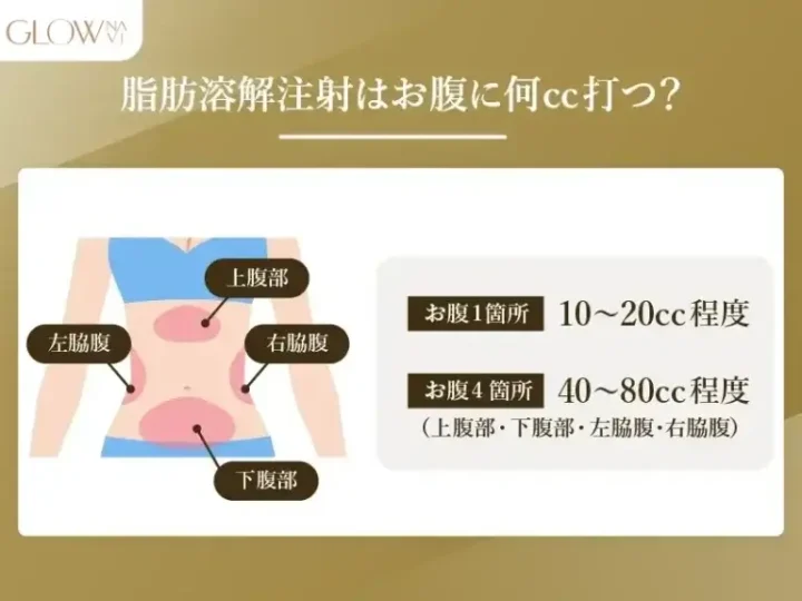 脂肪溶解注射はお腹に何cc打つ?