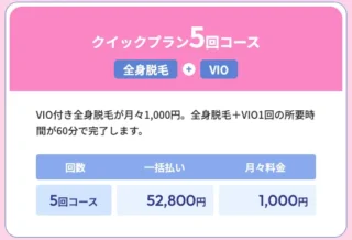フレイアクリニッククイックプラン5回コース（全身脱毛＋VIO＋顔）