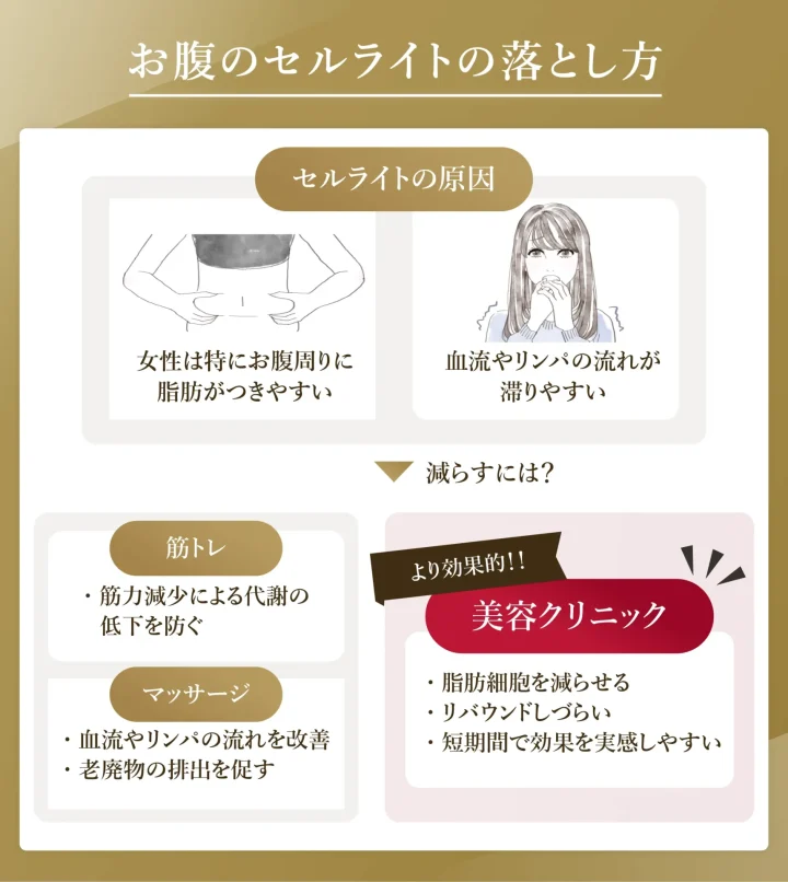 お腹のセルライトの落とし方・予防法は?自宅でできる対策を解説