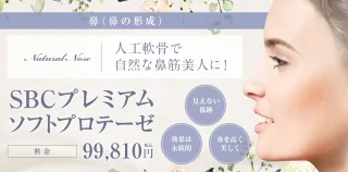 ソフトプロテーゼ