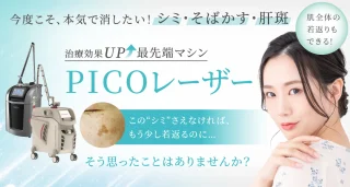 聖心美容 ピコレーザー