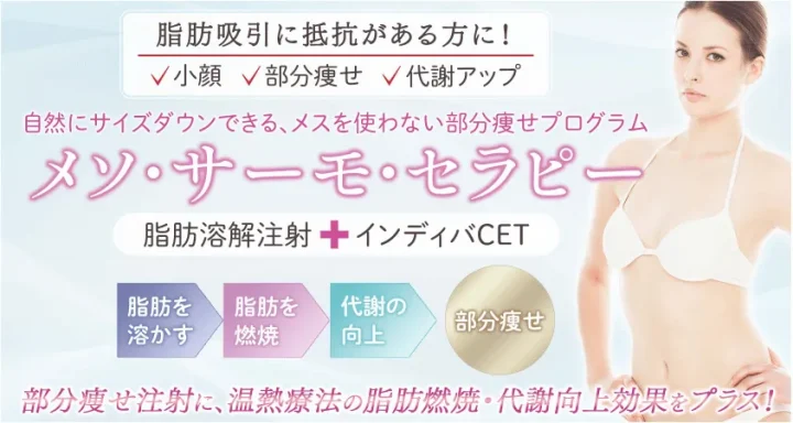 聖心美容 脂肪溶解注射