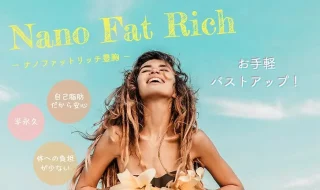 ステラ美容クリニック (ナノファットリッチ豊胸)