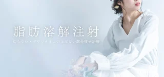 ウェンデルクリニック 脂肪溶解
