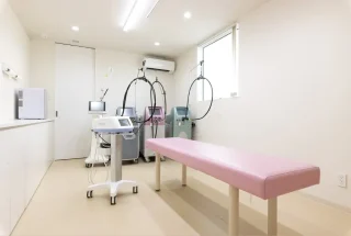 谷ヒフ科のイメージ4