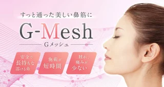 聖心美容クリニック(Gメッシュ)
