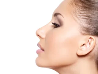 鼻