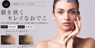 アートメイクギャラリー銀座院　ヘアアートメイク　施術メニュー画像