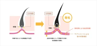 クレアージュ　美髪治療　施術メニュー画像