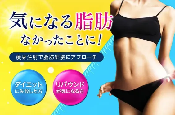 品川美容外科エバースリムのバナー画像