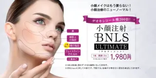 湘南美容　脂肪溶解注射