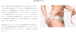 スワンクリニック銀座　脂肪溶解注射施術メニュー画像