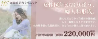 東岡崎美容クリニック　婦人科形成の施術メニュー画像