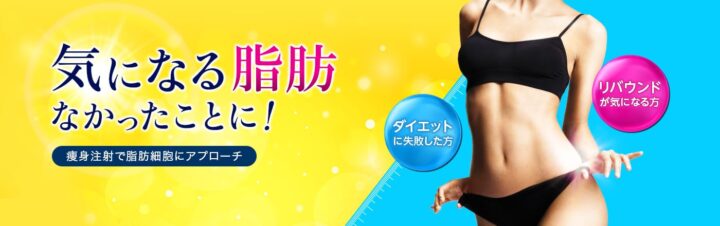 品川美容外科 エバースリム(脂肪溶解注射)改訂版バナー