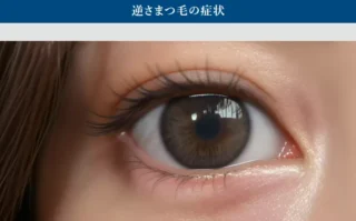 オキュロフェイシャルクリニック　下眼瞼睫毛内反症手術の施術メニュー画像