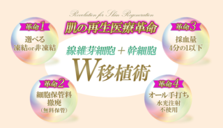 青山レナセルクリニックW移植バナー