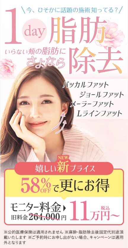 TAクリニック1day脂肪吸引モニター新価格LP