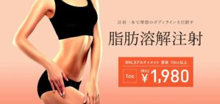 TCB脂肪溶解注射バナー