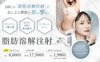 湘南美容クリニック脂肪溶解注射