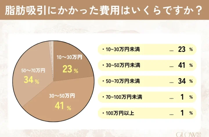 脂肪吸引にかかった費用を示すグラフ
